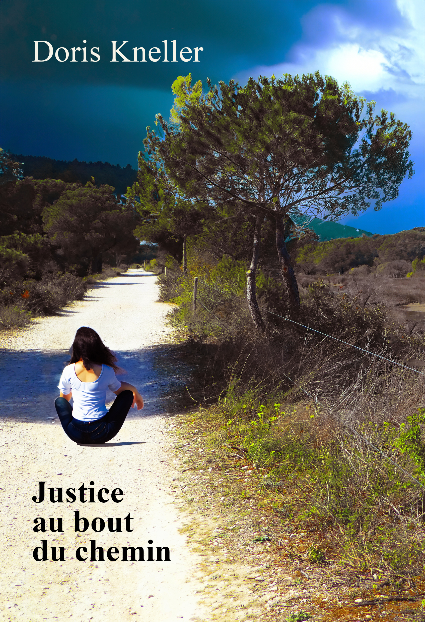 Roman de Doris Kneller: Justice au bout du chemin